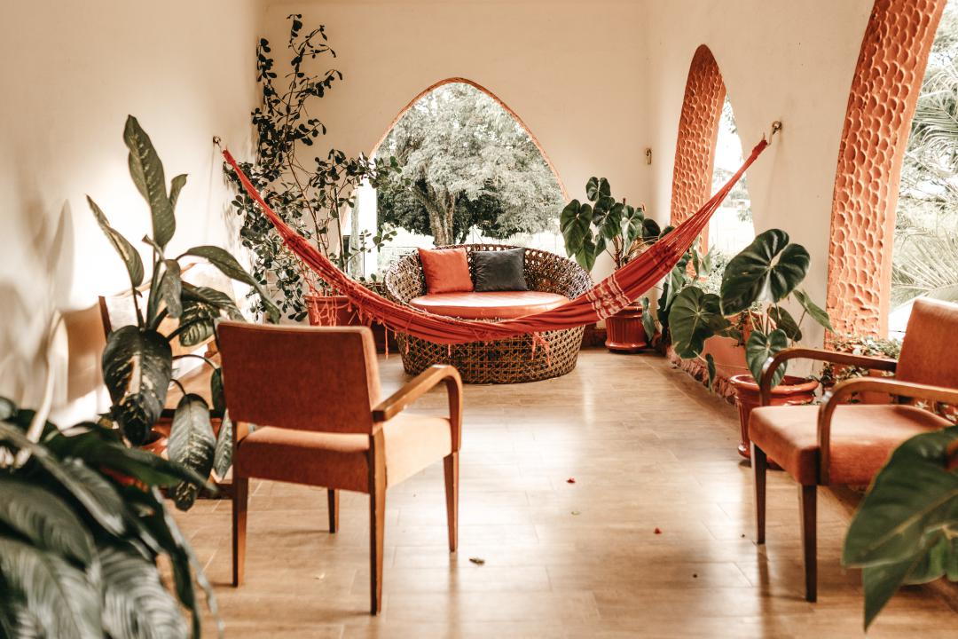 Biophilic home design featuring living green plants and natural light in a modern Toronto home (Home Renovation Trends in Toronto)
